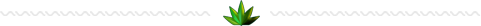 Hemp Oil